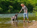 ein Hund spielt im Wasser